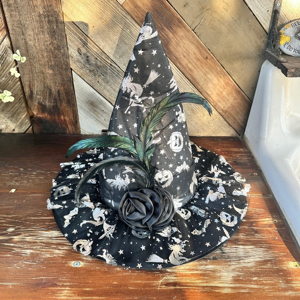Costume Witches Hat